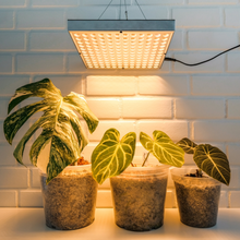 Load image into Gallery viewer, Brite Labs - Glow Grow Light