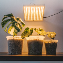 Load image into Gallery viewer, Brite Labs - Glow Grow Light