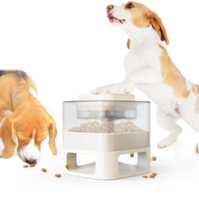 Load image into Gallery viewer, Dog Food/Treats Dispensing Container Toy | Interactive Pet Toy | Slower Feeder with Press Button, White